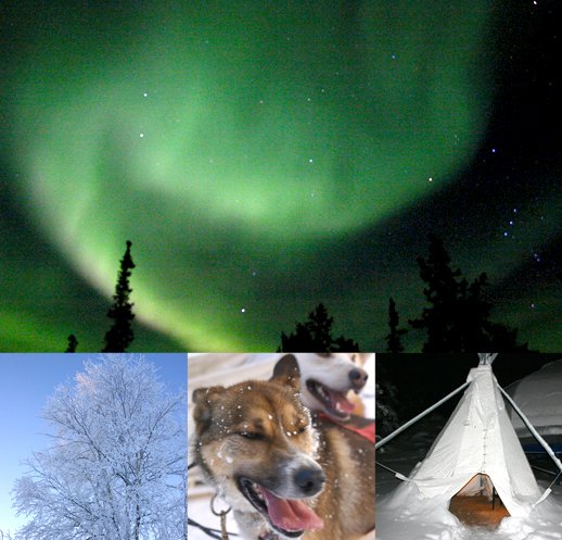 イエローナイフ