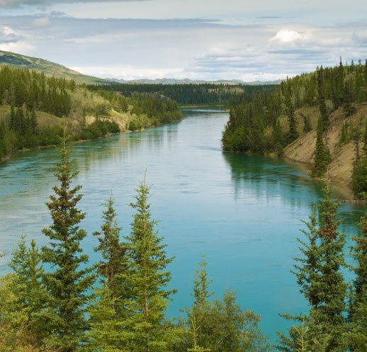 ホワイトホース