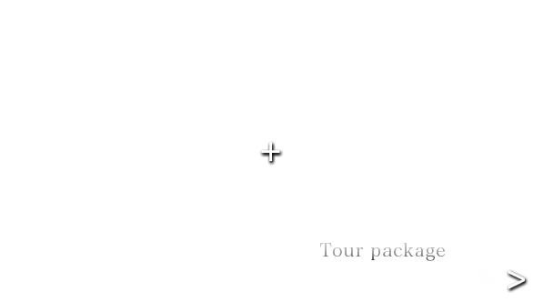 ツアー情報